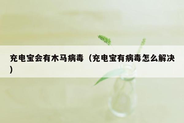 充电宝会有木马病毒（充电宝有病毒怎么解决）