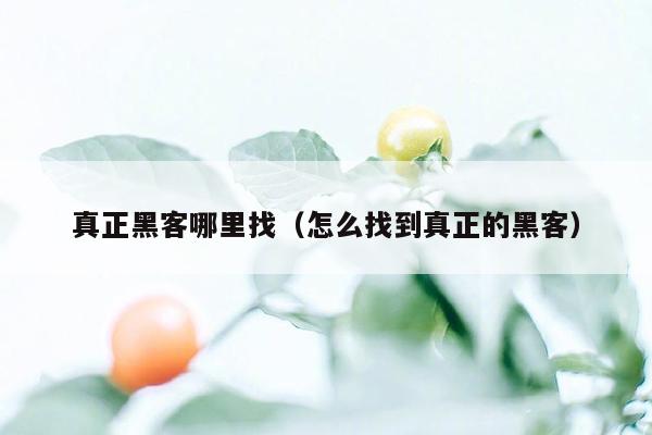 真正黑客哪里找（怎么找到真正的黑客）