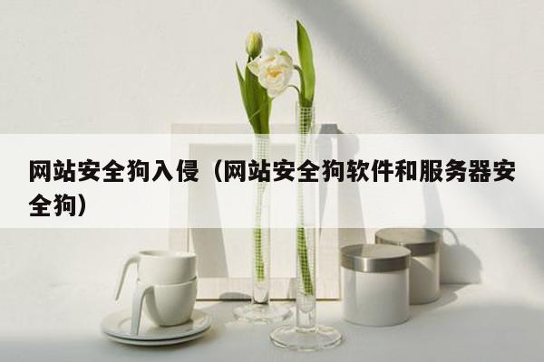 网站安全狗入侵（网站安全狗软件和服务器安全狗）