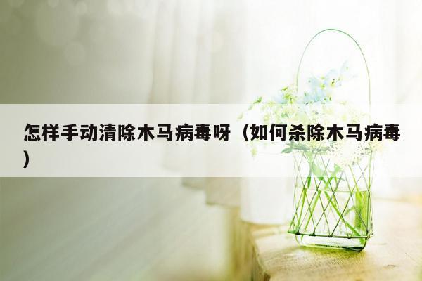 怎样手动清除木马病毒呀（如何杀除木马病毒）