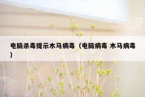 电脑杀毒提示木马病毒（电脑病毒 木马病毒）