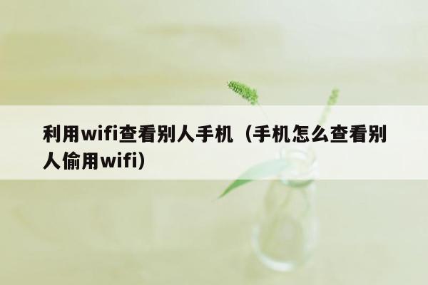 利用wifi查看别人手机（手机怎么查看别人偷用wifi）