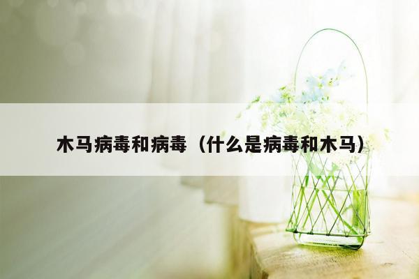 木马病毒和病毒（什么是病毒和木马）