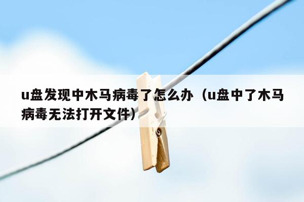 u盘发现中木马病毒了怎么办（u盘中了木马病毒无法打开文件）