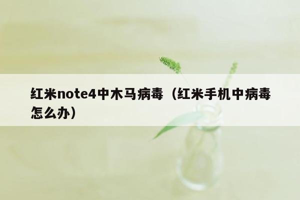 红米note4中木马病毒（红米手机中病毒怎么办）