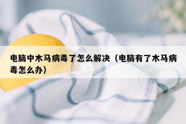 电脑中木马病毒了怎么解决（电脑有了木马病毒怎么办）