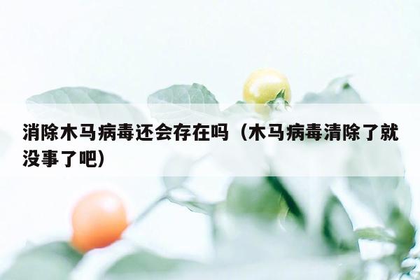 消除木马病毒还会存在吗（木马病毒清除了就没事了吧）