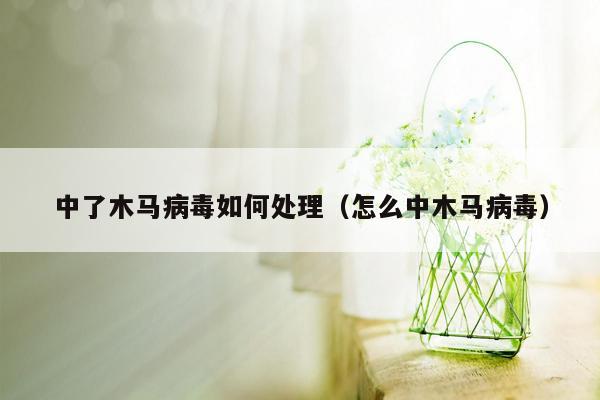 中了木马病毒如何处理（怎么中木马病毒）