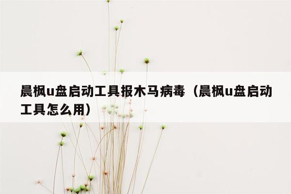 晨枫u盘启动工具报木马病毒（晨枫u盘启动工具怎么用）