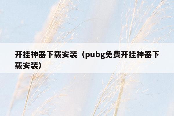 开挂神器下载安装（pubg免费开挂神器下载安装）