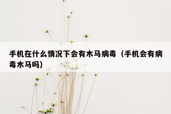 手机在什么情况下会有木马病毒（手机会有病毒木马吗）