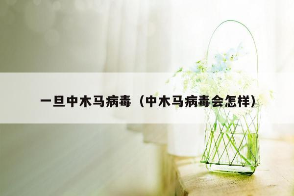 一旦中木马病毒（中木马病毒会怎样）