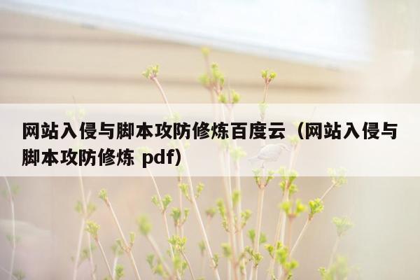 网站入侵与脚本攻防修炼百度云（网站入侵与脚本攻防修炼 pdf）