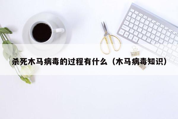 杀死木马病毒的过程有什么（木马病毒知识）