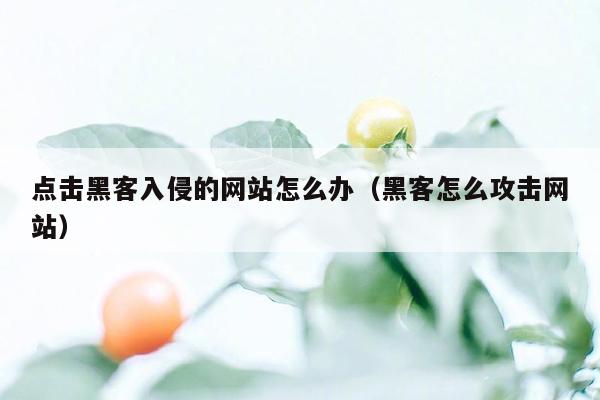 点击黑客入侵的网站怎么办（黑客怎么攻击网站）