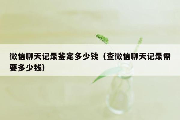 微信聊天记录鉴定多少钱（查微信聊天记录需要多少钱）