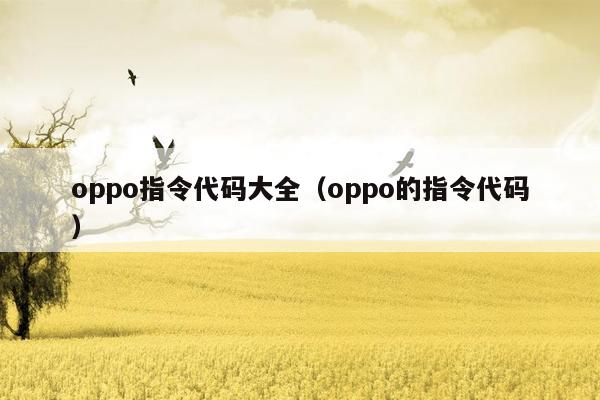 oppo指令代码大全（oppo的指令代码）