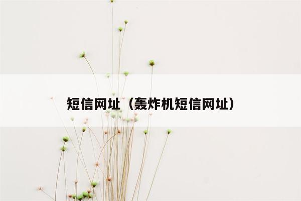 短信网址（轰炸机短信网址）