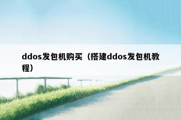 ddos发包机购买（搭建ddos发包机教程）