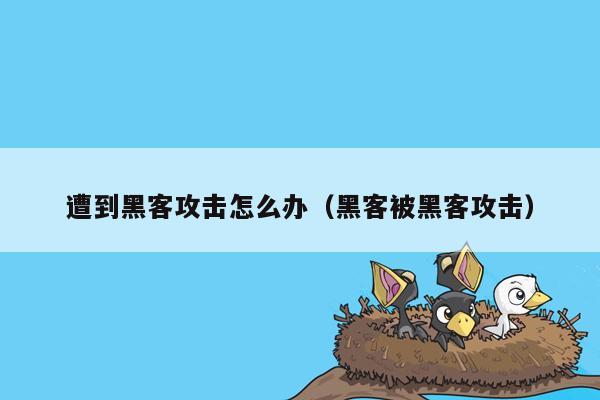 遭到黑客攻击怎么办（黑客被黑客攻击）