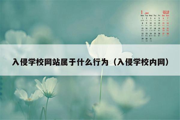 入侵学校网站属于什么行为（入侵学校内网）