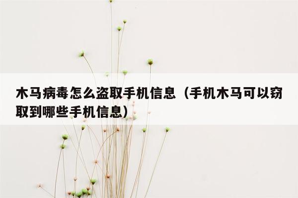 木马病毒怎么盗取手机信息（手机木马可以窃取到哪些手机信息）