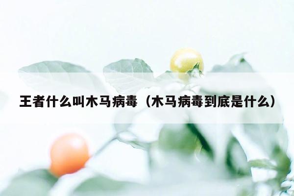 王者什么叫木马病毒（木马病毒到底是什么）