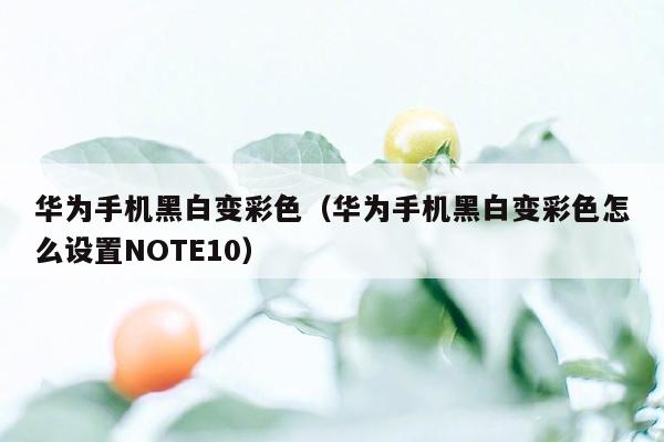 华为手机黑白变彩色（华为手机黑白变彩色怎么设置NOTE10）