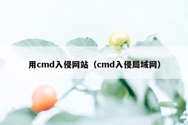 用cmd入侵网站（cmd入侵局域网）