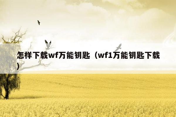 怎样下载wf万能钥匙（wf1万能钥匙下载）