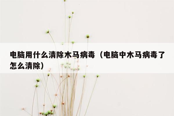 电脑用什么清除木马病毒（电脑中木马病毒了怎么清除）