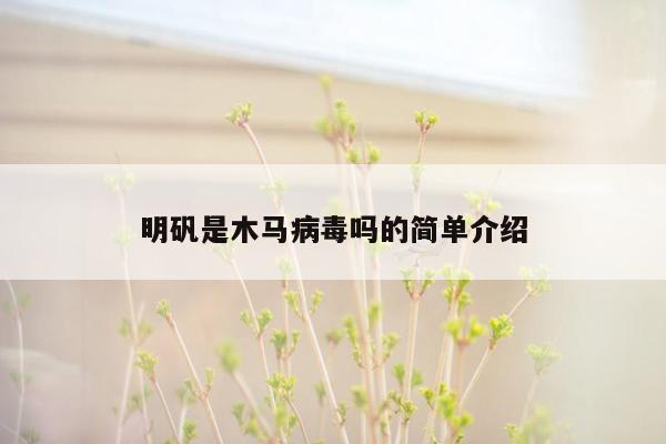 明矾是木马病毒吗的简单介绍