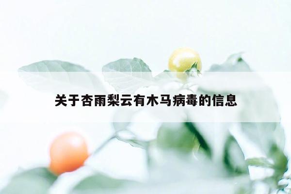 关于杏雨梨云有木马病毒的信息