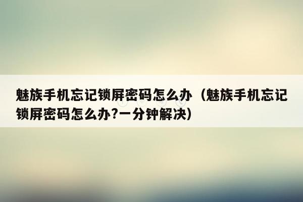 魅族手机忘记锁屏密码怎么办（魅族手机忘记锁屏密码怎么办?一分钟解决）