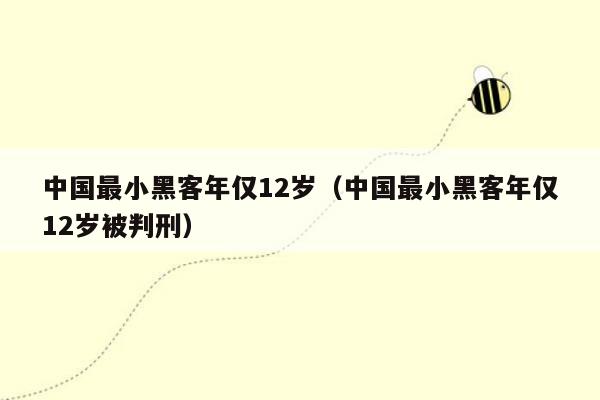 中国最小黑客年仅12岁（中国最小黑客年仅12岁被判刑）