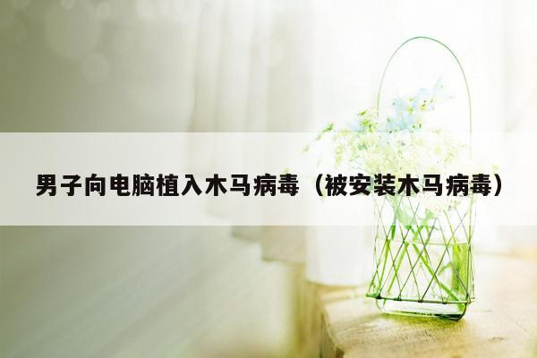 男子向电脑植入木马病毒（被安装木马病毒）