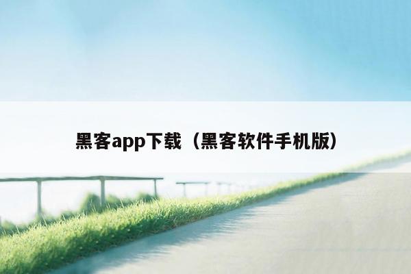 黑客app下载（黑客软件手机版）