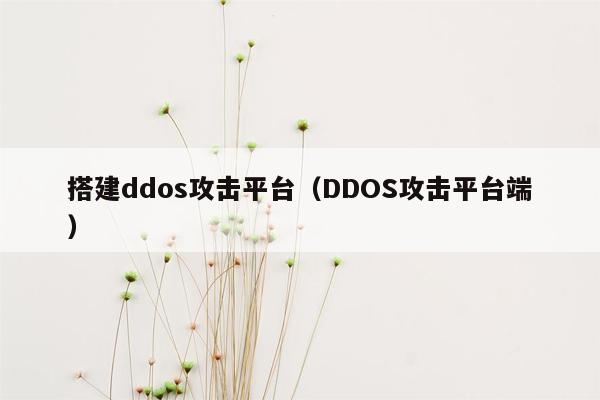 搭建ddos攻击平台（DDOS攻击平台端）