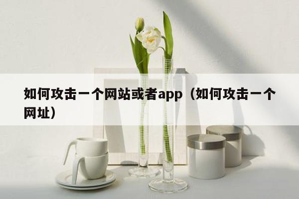 如何攻击一个网站或者app（如何攻击一个网址）