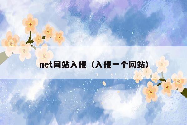 net网站入侵（入侵一个网站）