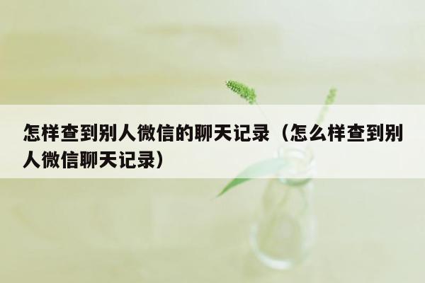 怎样查到别人微信的聊天记录（怎么样查到别人微信聊天记录）