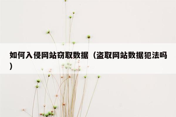 如何入侵网站窃取数据（盗取网站数据犯法吗）