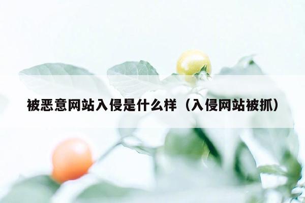 被恶意网站入侵是什么样（入侵网站被抓）