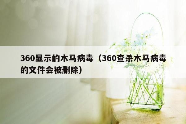 360显示的木马病毒（360查杀木马病毒的文件会被删除）