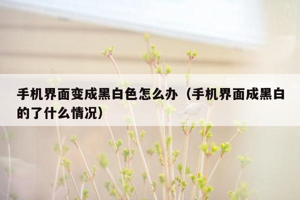 手机界面变成黑白色怎么办（手机界面成黑白的了什么情况）