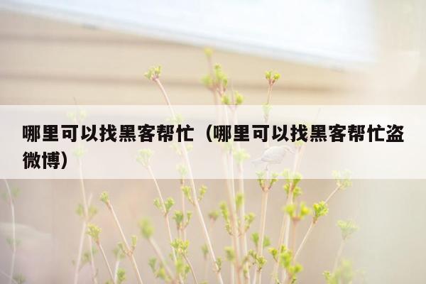 哪里可以找黑客帮忙（哪里可以找黑客帮忙盗微博）