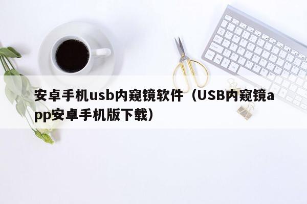 安卓手机usb内窥镜软件（USB内窥镜app安卓手机版下载）