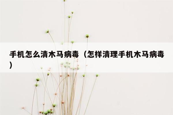 手机怎么清木马病毒（怎样清理手机木马病毒）