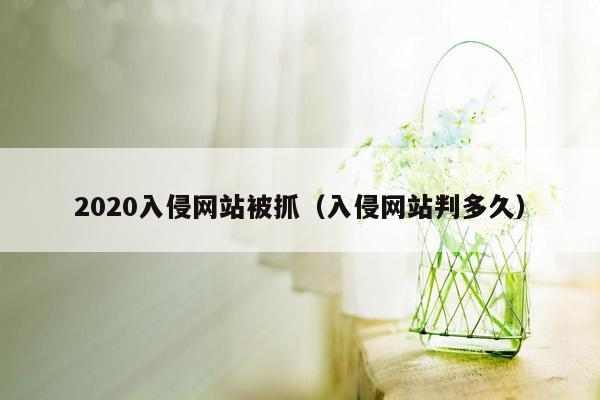 2020入侵网站被抓（入侵网站判多久）