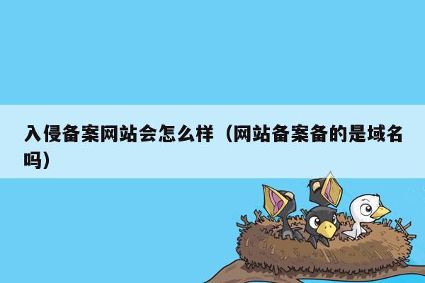 入侵备案网站会怎么样（网站备案备的是域名吗）